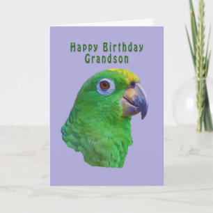 Green Parrot Birthday Wenskaart, kleinzoon Kaart
