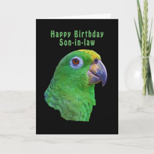 Green Parrot Birthday Wenskaart, schoonzoon Kaart (Voorkant)