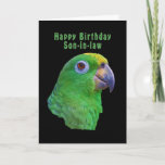 Green Parrot Birthday Wenskaart, Son-in-law Kaart<br><div class="desc">Deze groene ara is lid van de papegaaifamilie en hij maakt een kleurrijk verjaardagswenskaart voor een schoonzoon.</div>