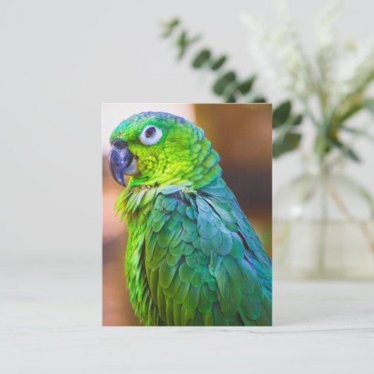 Green Parrot Briefkaart (Staand voorkant)
