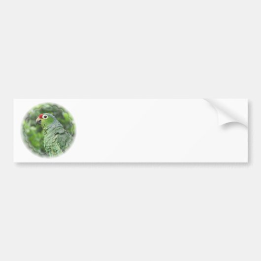 Green Parrot Bumpersticker (Voorkant)
