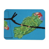 green parrot foto magnet magneet (Horizontaal)