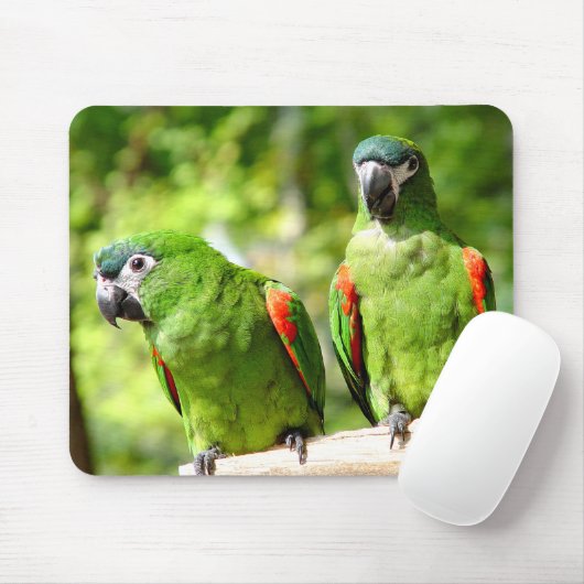 Green Parrot Mousepad 2 Muismat (Met muis)