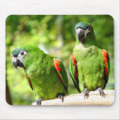 Green Parrot Mousepad 2 Muismat (Voorkant)