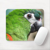 Green Parrot Mousepad Muismat (Met muis)