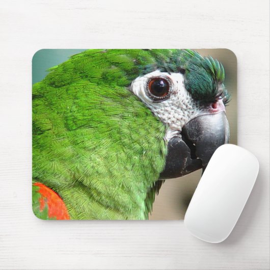 Green Parrot Mousepad Muismat (Met muis)