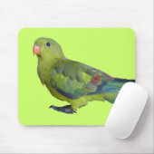Green Parrot Muismat (Met muis)