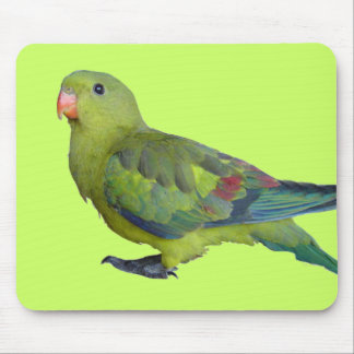 Green Parrot Muismat