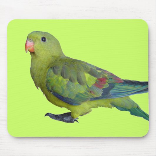 Green Parrot Muismat (Voorkant)