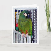 Green Parrot Portrait Kaart (Voorkant)
