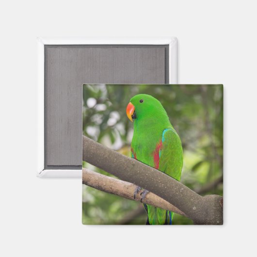 Green Parrot Portrait Magneet (Voorkant / Achterkant)