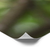 Green Parrot Portrait Poster (Hoek)