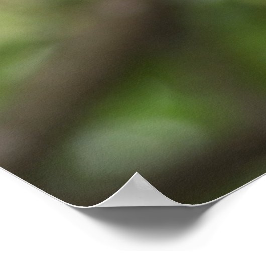 Green Parrot Portrait Poster (Hoek)