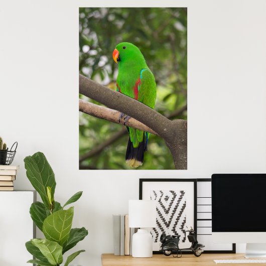 Green Parrot Portrait Poster (Thuiskantoor)