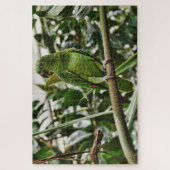 green parrot puzzel (Verticaal)