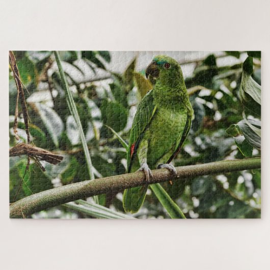 green parrot puzzel legpuzzel (Horizontaal)