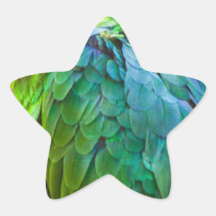 Green Parrot Ster Sticker