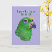 Green Parrot Verjaardag Wenskaart, kleinzoon Kaart (Gele Bloem)