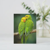 Green Parrots Tortelduifjes Fotografie Briefkaart (Staand voorkant)