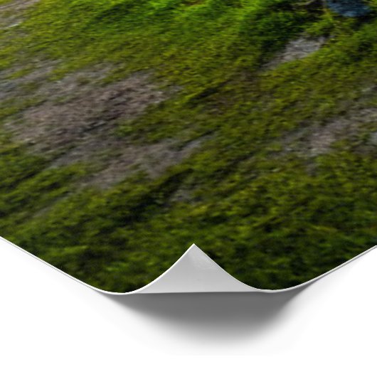 "Green Pastures", psalm 23:1-2 geanoïniseerd profe Poster (Hoek)