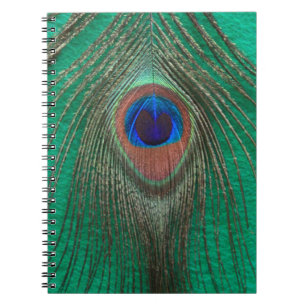 Green Peacock Feather-laptop Notitieboek