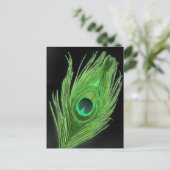 Green Peacock Feather on Black Briefkaart (Staand voorkant)