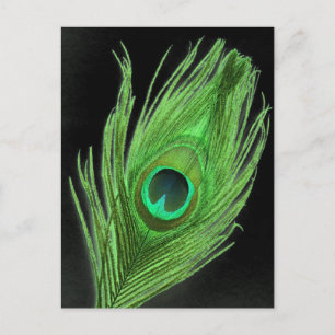 Green Peacock Feather on Black Briefkaart