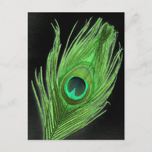 Green Peacock Feather on Black Briefkaart (Voorkant)