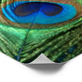 Green Peacock Feather Poster (Hoek)