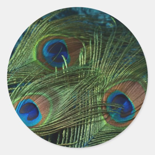Green Peacock Feather Ronde Sticker (Voorkant)