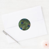 Green Peacock Feather Ronde Sticker (Envelop)