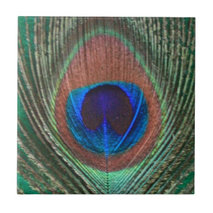 Green Peacock Feather Tile Tegeltje