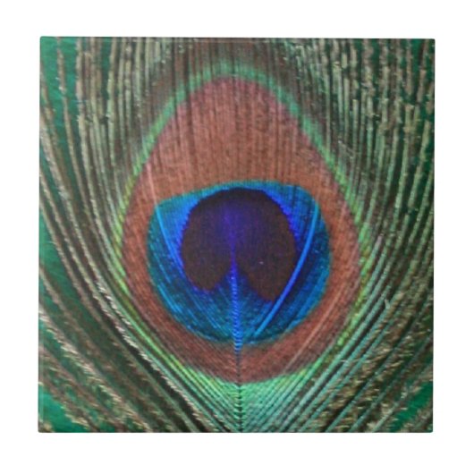 Green Peacock Feather Tile Tegeltje (Voorkant)