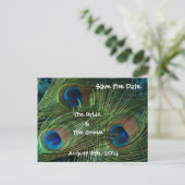 Green Peacock Feathers Bewaar de datum Aankondigingskaart (Staand voorkant)