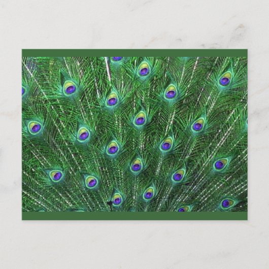 Green Peacock Feathers RSVP Uitnodiging Briefkaart (Voorkant)