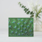 Green Peacock Feathers RSVP Uitnodiging Briefkaart (Staand voorkant)