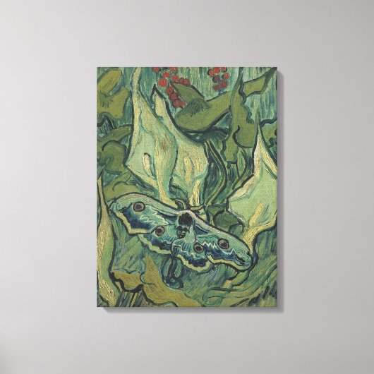 Green Peacock (keizer) Moth door Vincent van Gogh Canvas Afdruk (Voorkant)