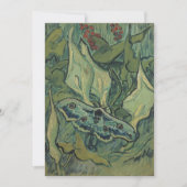 Green Peacock (keizer) Moth door Vincent van Gogh Kaart (Voorkant)