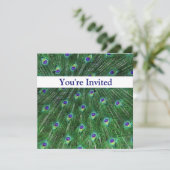 Green Peacock Swirl Birthday Invitation Kaart (Staand voorkant)