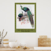 Green Peafowl, Pavo muticus, 1872 monografie Pha Poster (Keuken)