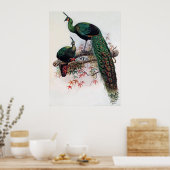Green Peafowl, Pavo muticus, 1872 monografie Pha Poster (Keuken)