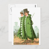 Green Peas  Food and Art Briefkaart (Voorkant / Achterkant)