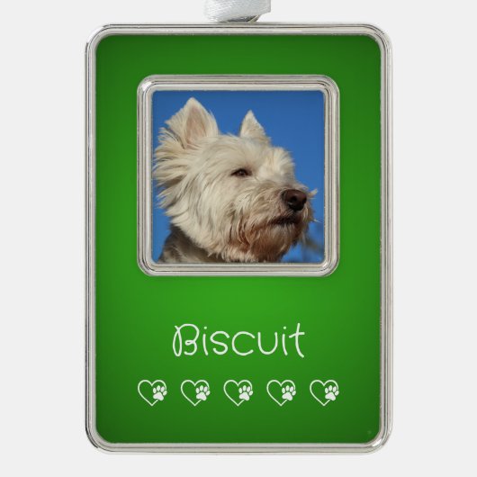 Green Pet Photo Ornament - Frame, Pet's Name (Voorkant)