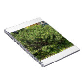 Green Pine Bush Nature Notebook Notitieboek (Rechterzijde)