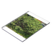 Green Pine Bush Nature Notebook Notitieboek (Linkerzijde)