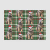 Green Plaid Briard Shepherd Hondenliefhebber Vakan Tissuepapier (Voorkant)