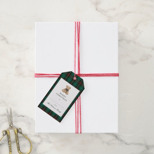 Green Plaid Teddy Bear Christmas Party Cadeaulabel (Met Touw)