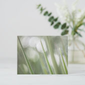 Green Plant Natuur Foto Briefkaart (Staand voorkant)