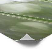 Green Plant Natuur Foto Poster (Hoek)