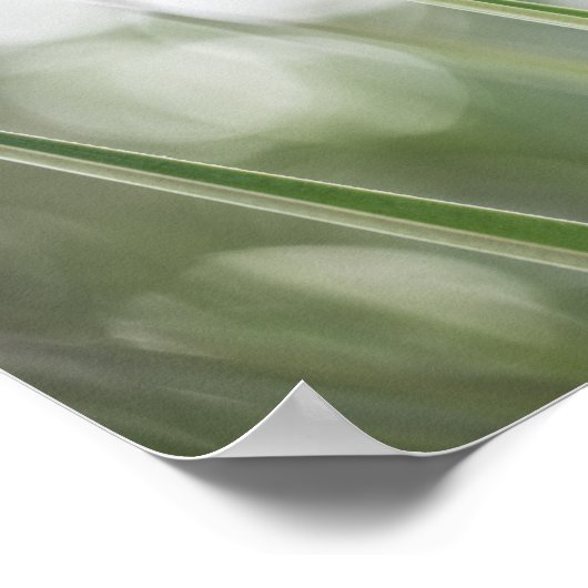 Green Plant Natuur Foto Poster (Hoek)